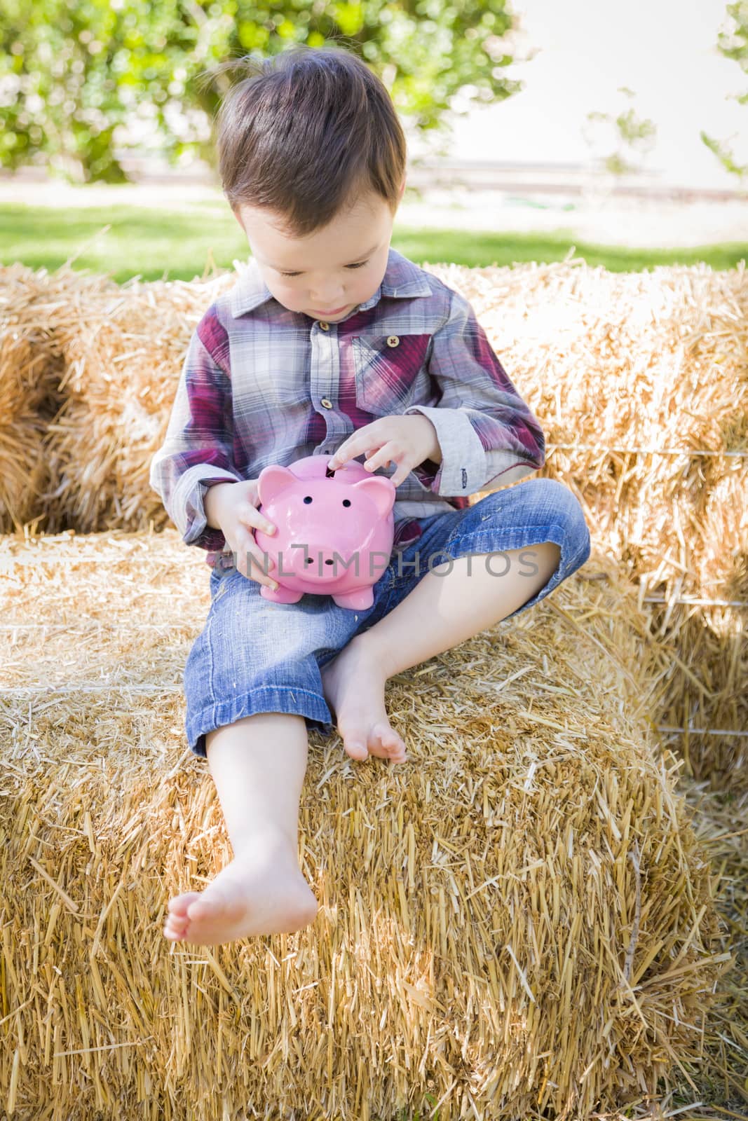 Cute Young Mixed Race Boy Sitting on Hay Bale Putting Coins Into Pink Piggy Bank.