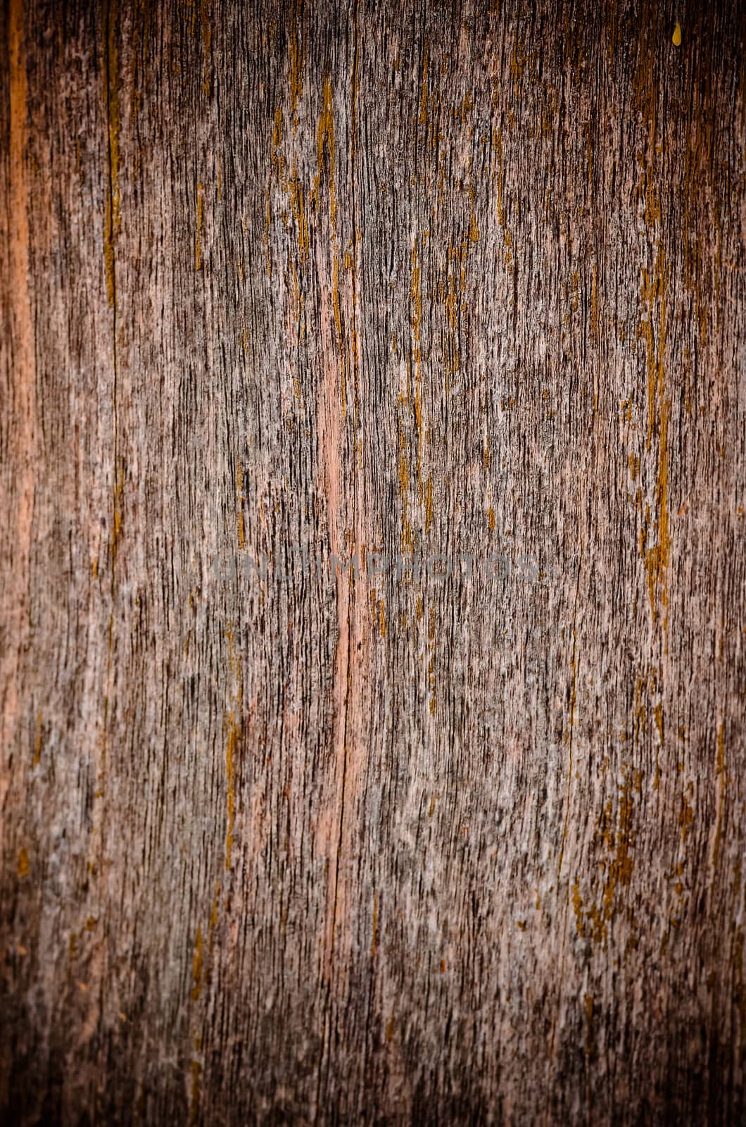 Wood background