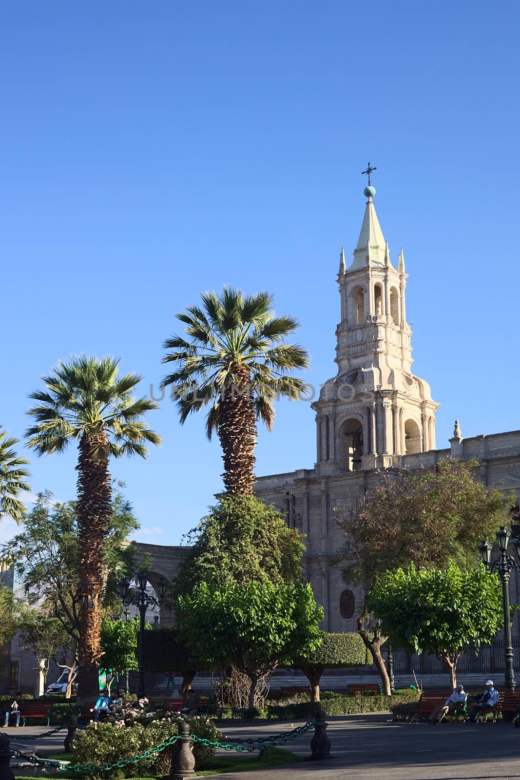 Plaza de Armas and Basilica Cathedral in Arequipa, Peru  by sven
