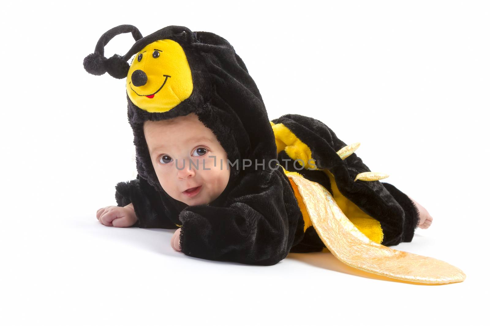 baby boy dressed up like bee  by manaemedia