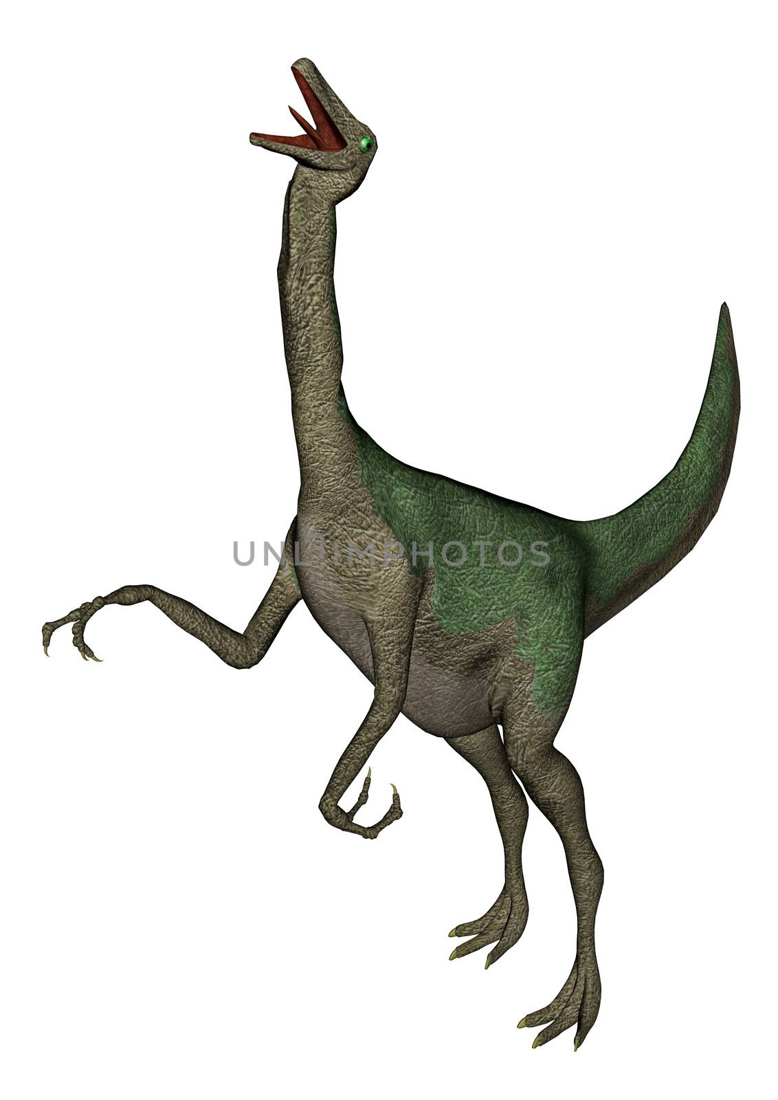 Gallimimus dinosaur roaring in white background- 3D render