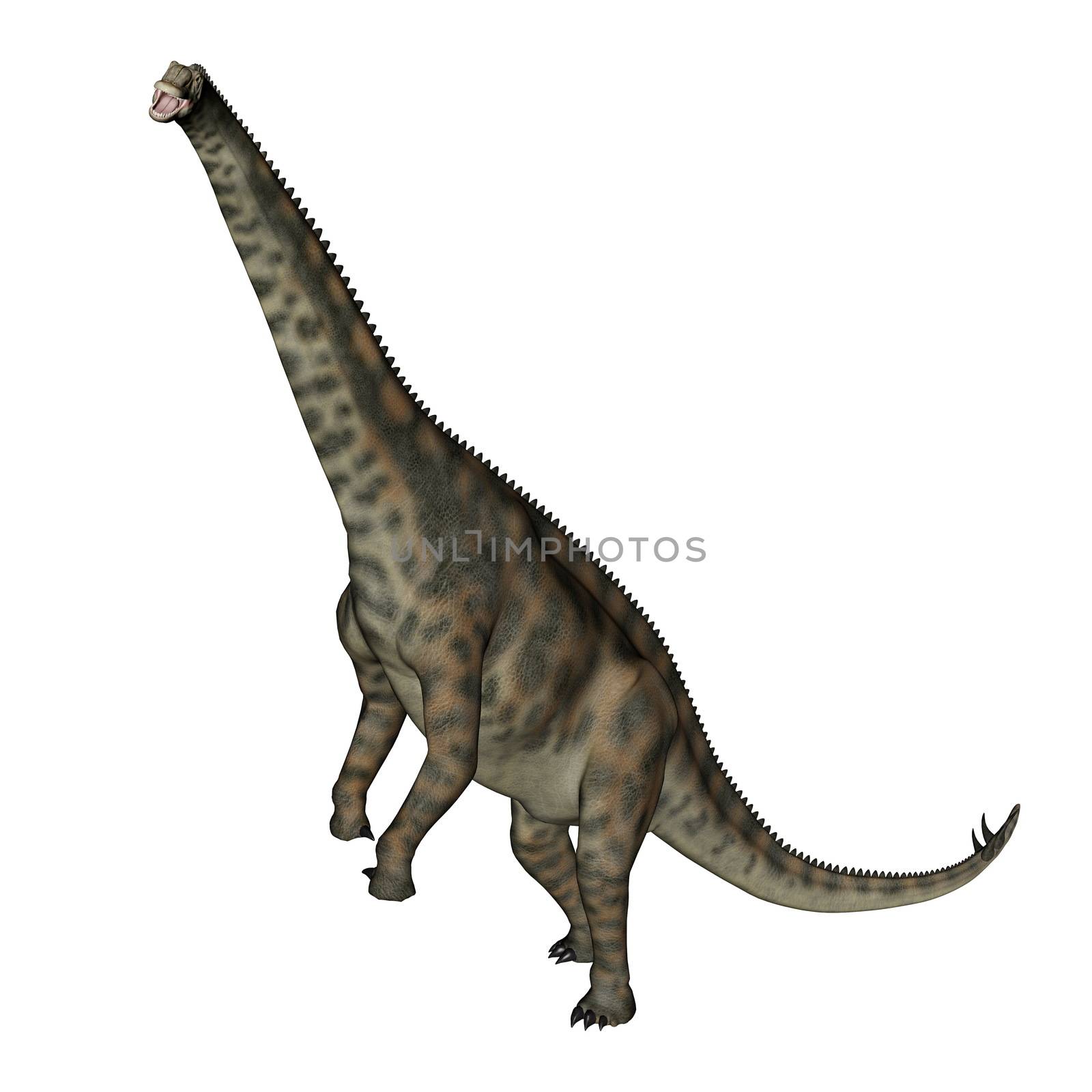 Spinophorosaurus dinosaur standing up - 3D render by Elenaphotos21