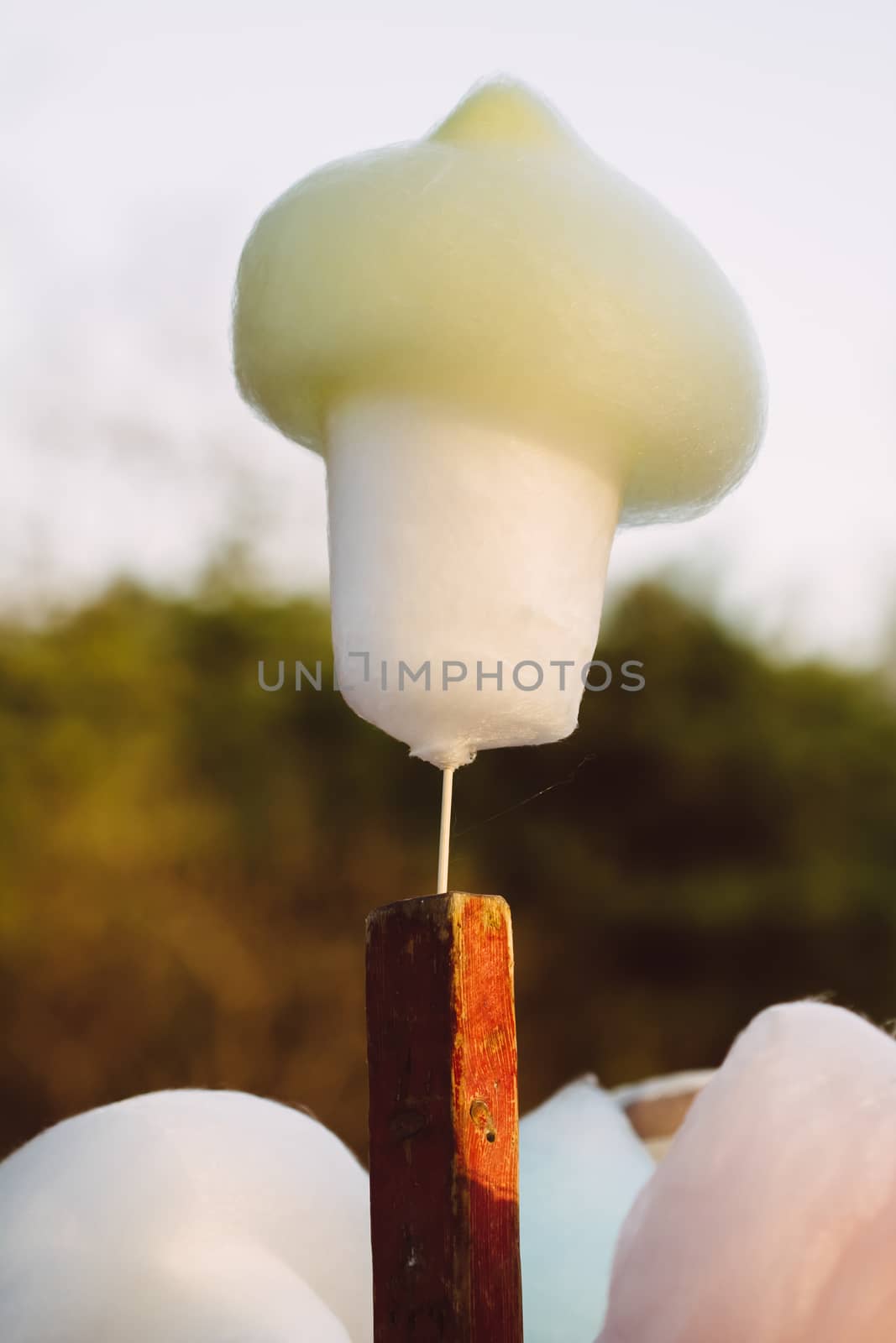 Chinese spun sugar,street food  of China