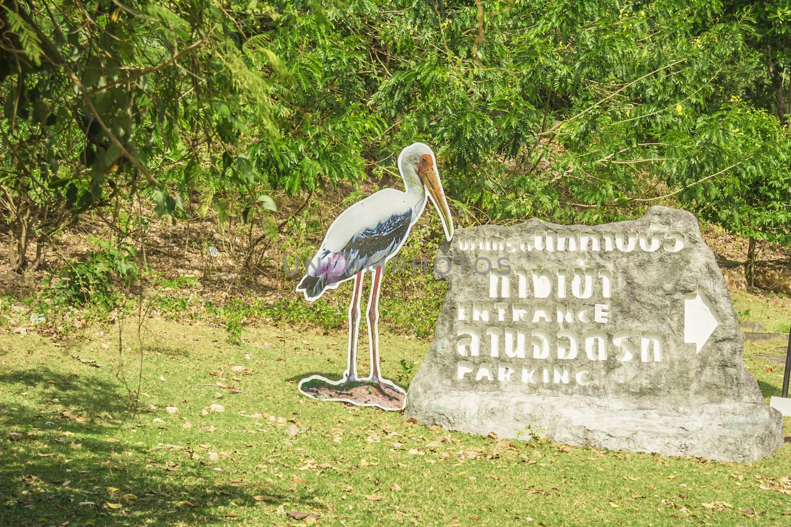 Thailand. Southeast Asia. Natural scenery. Exotic Flora and Fauna.