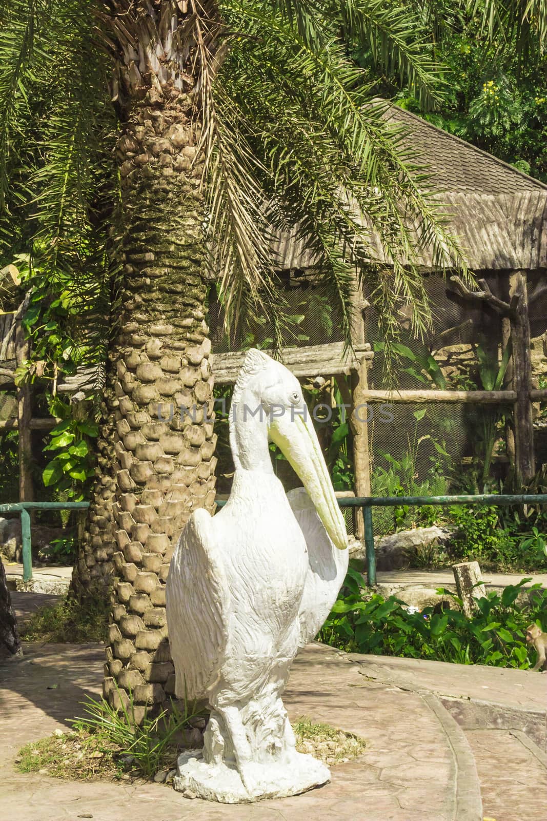Tailand.Pattayya.Zoopark by ads861