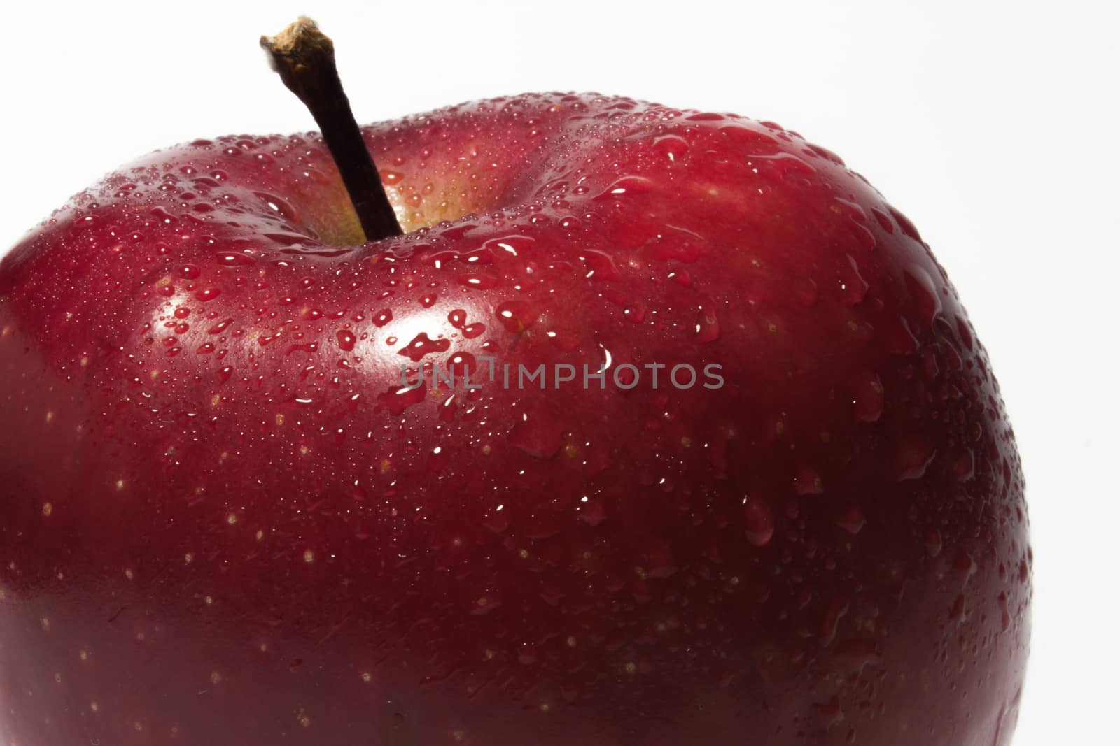 Red apple with water droplets close up view.