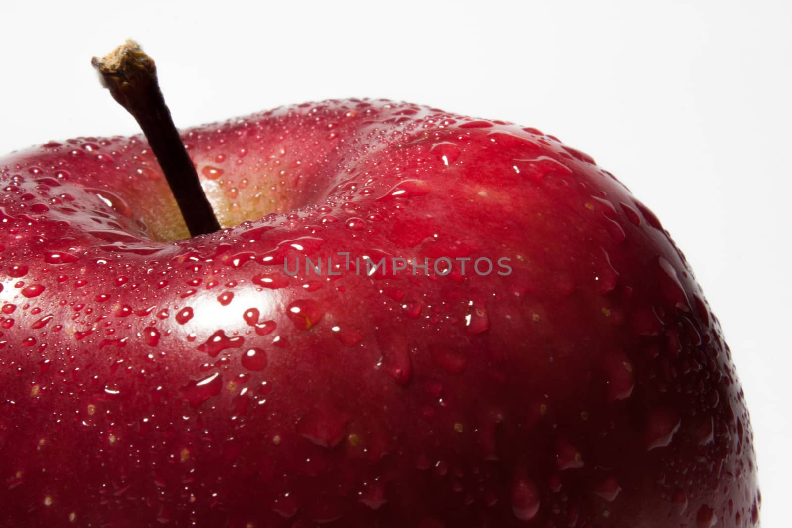 Red apple with water droplets close up view.