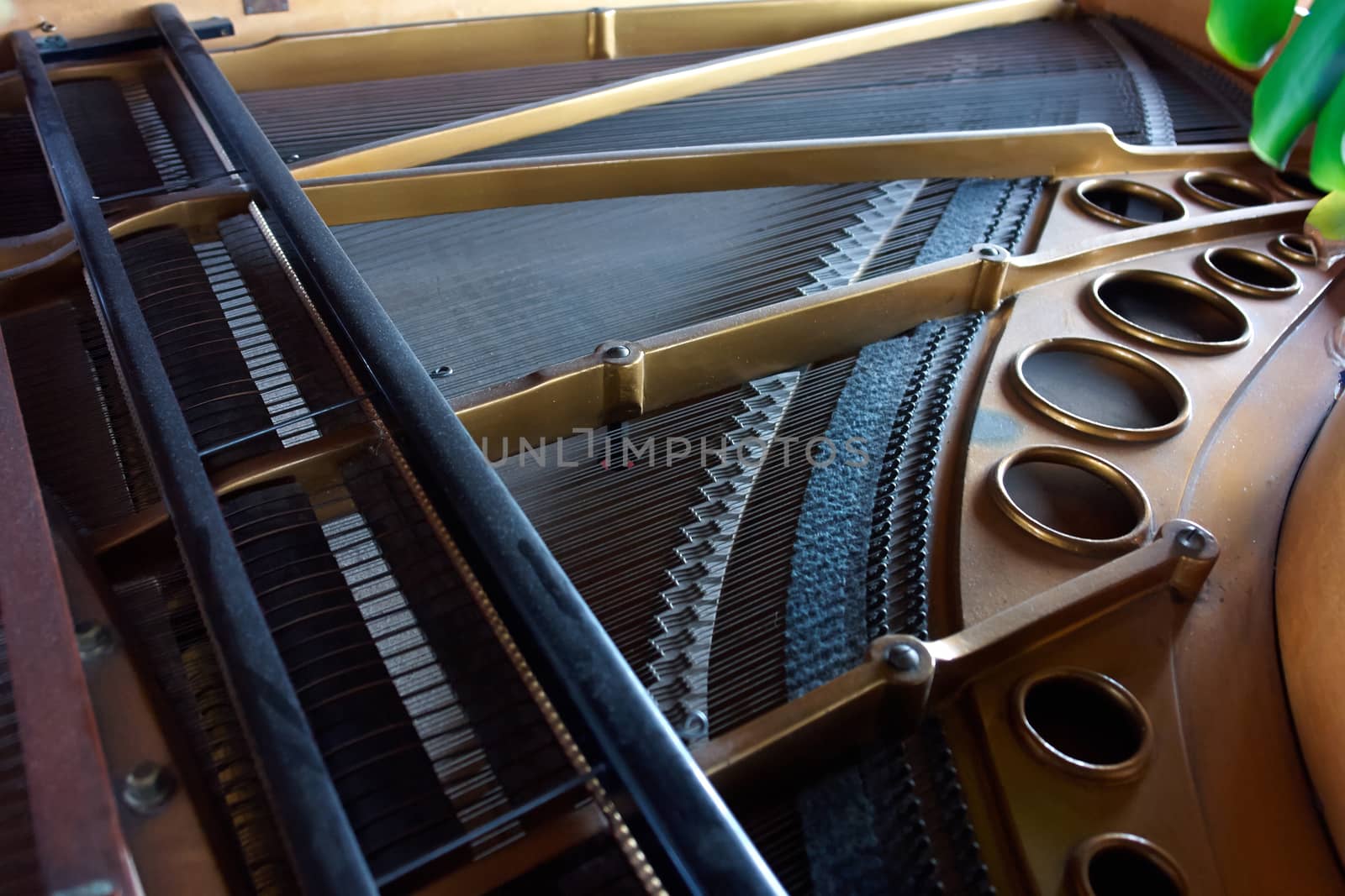 Inside an old piano strings and hammer details                               