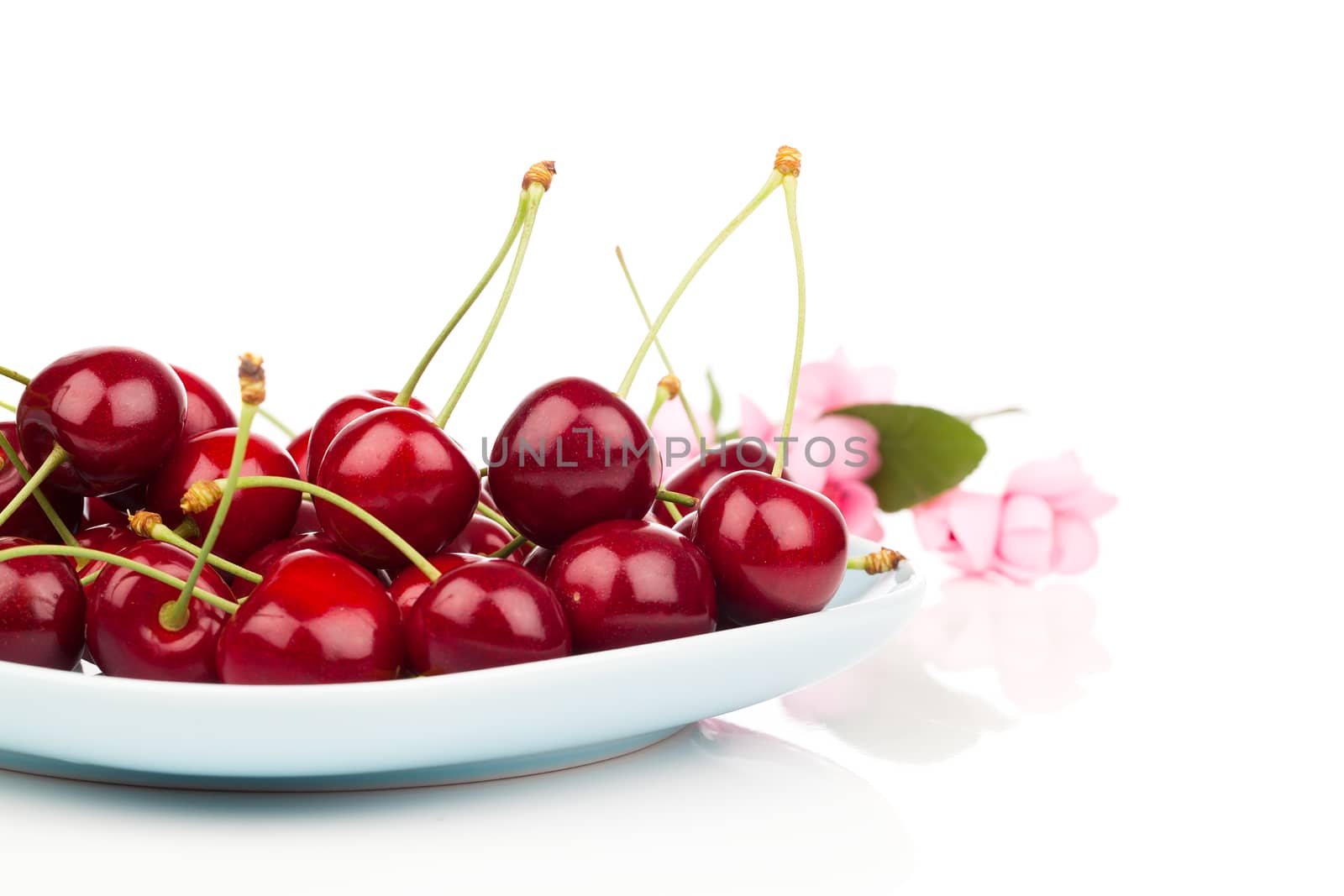 Bowl full of cherries isolated on white background