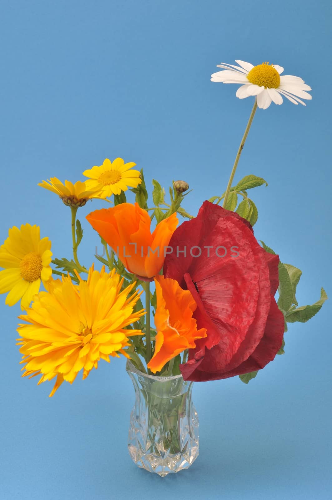 Flowers arranged in a vase.