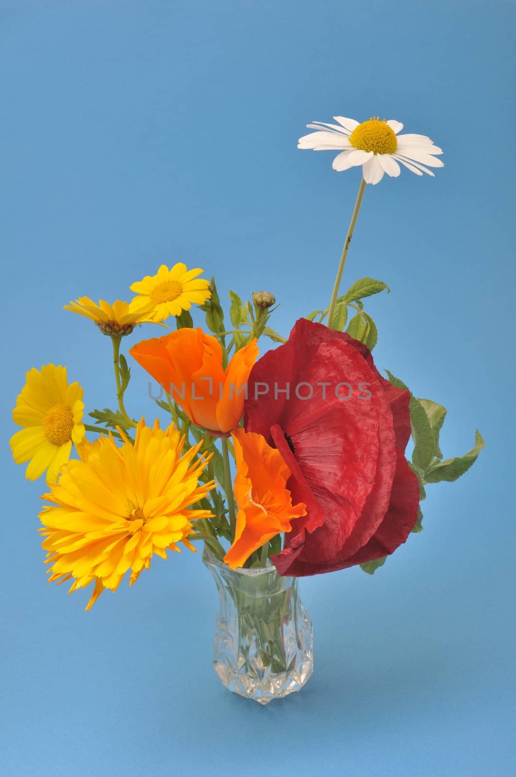 Flowers arranged in a vase.