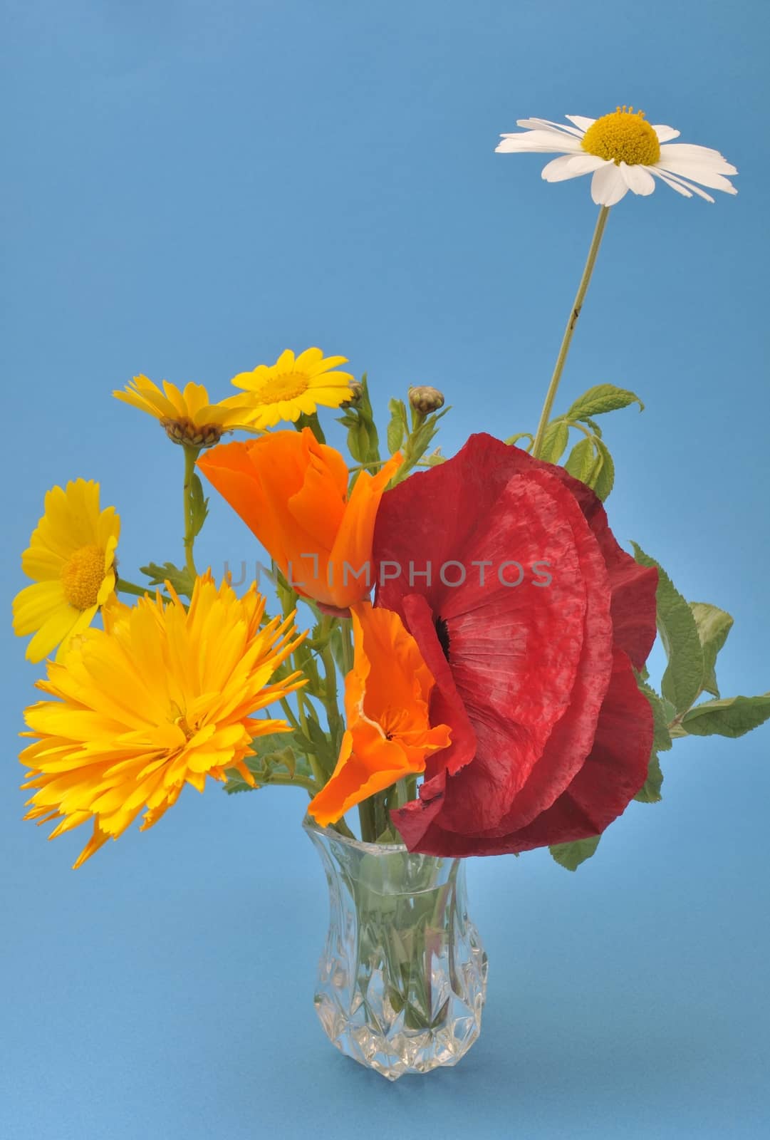Flowers arranged in a vase.
