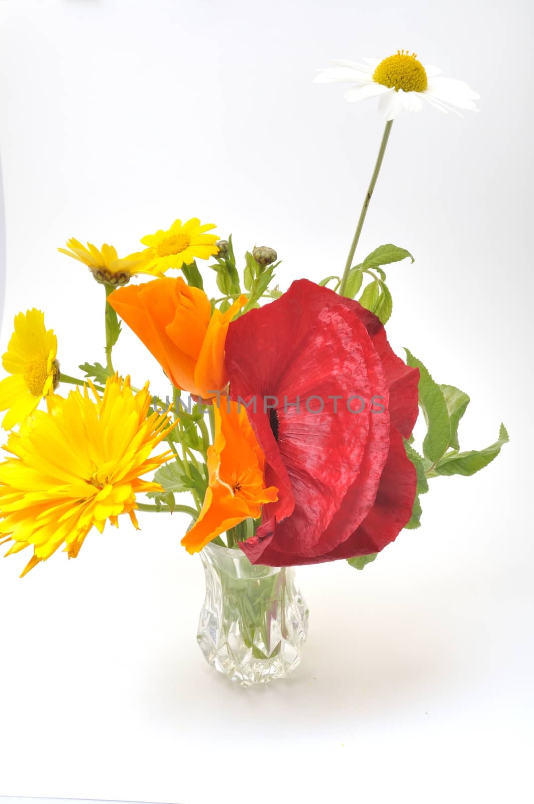 Flowers arranged in a vase.