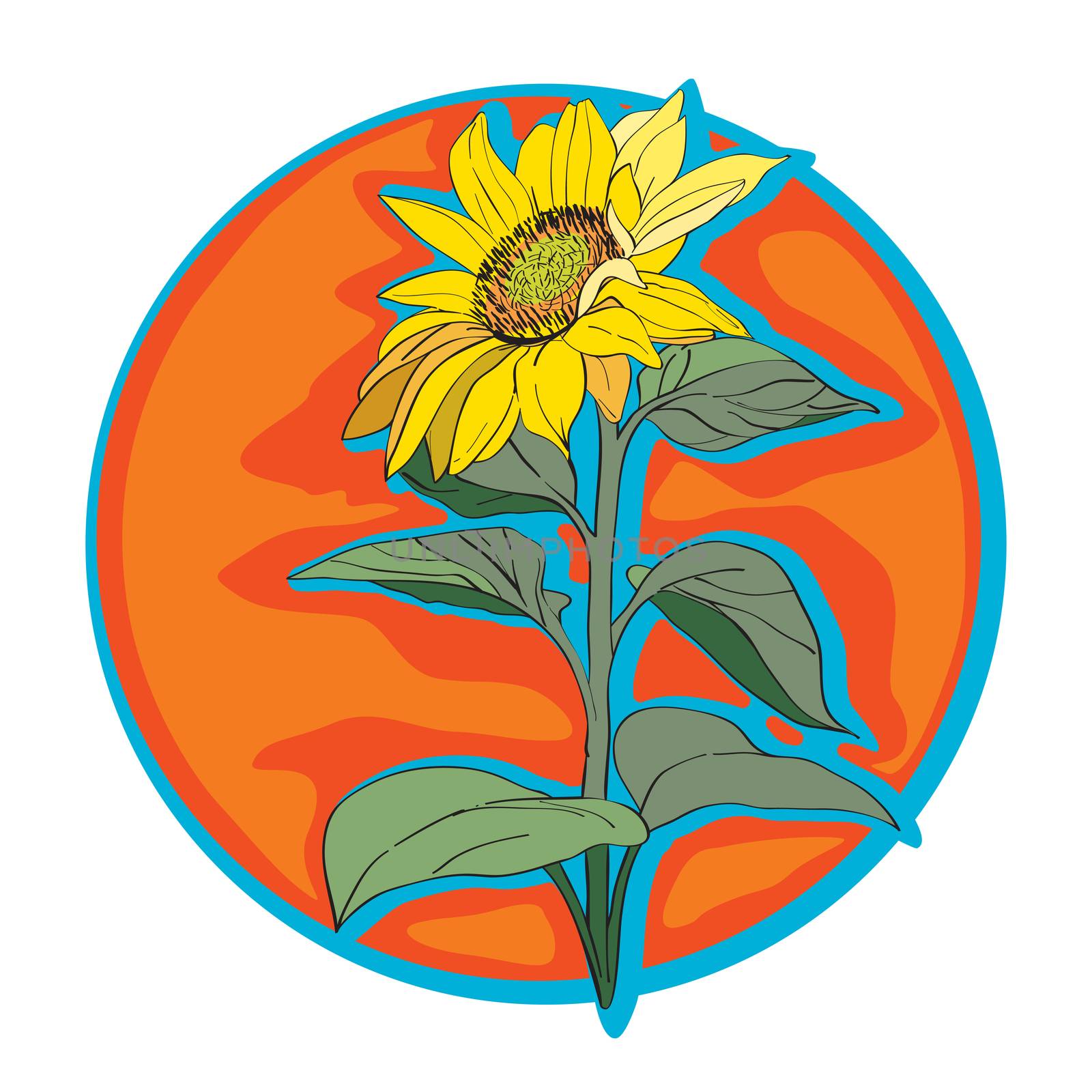 Sunflower clip art, hand drawn cartoon illustration isolated on white