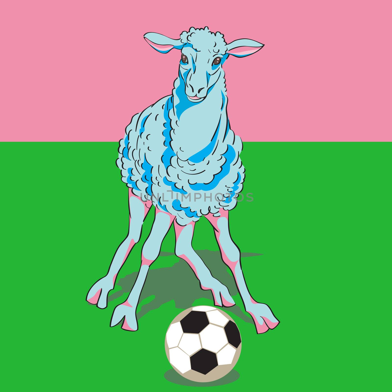 Hand drawn illustration of a sheep playing football on green grass