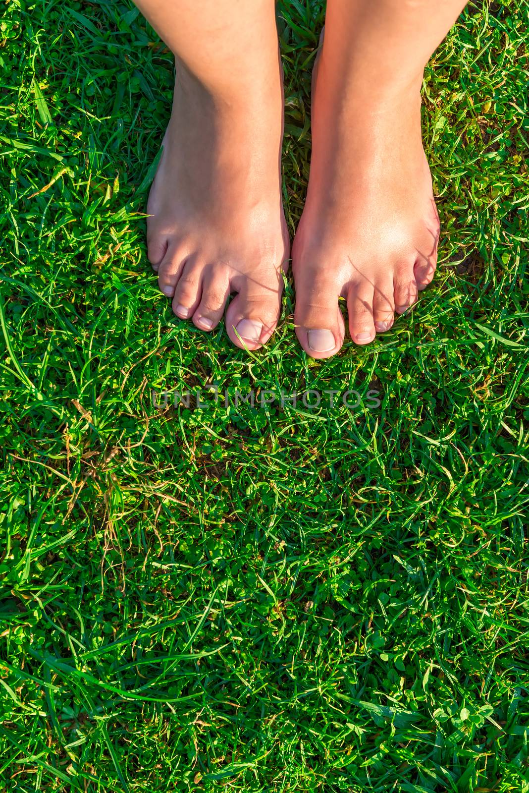 Vertical picture of female legs on a green lawn