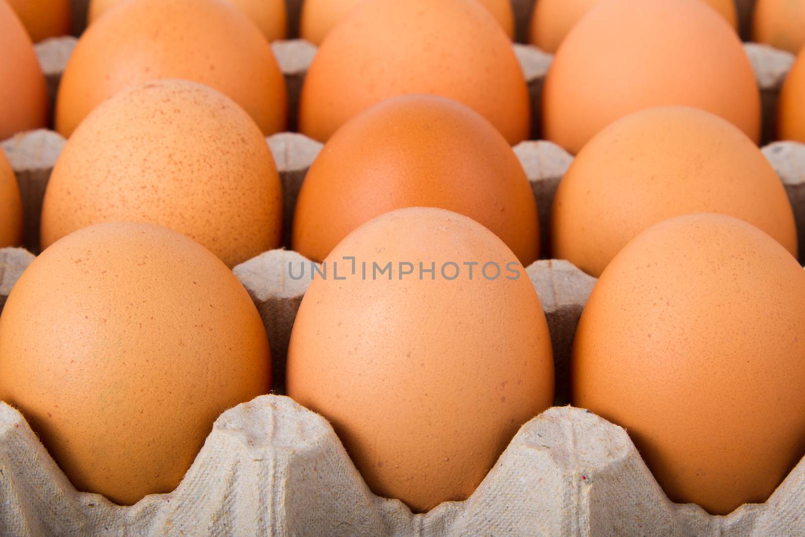 Brown eggs in a carton. Isolated on a white background
