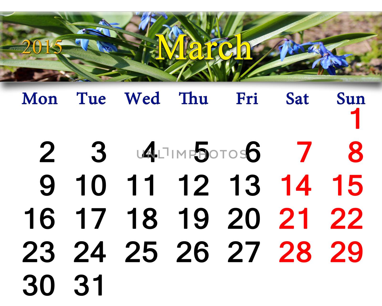 calendar for March of 2015 year with snowdrops by alexmak