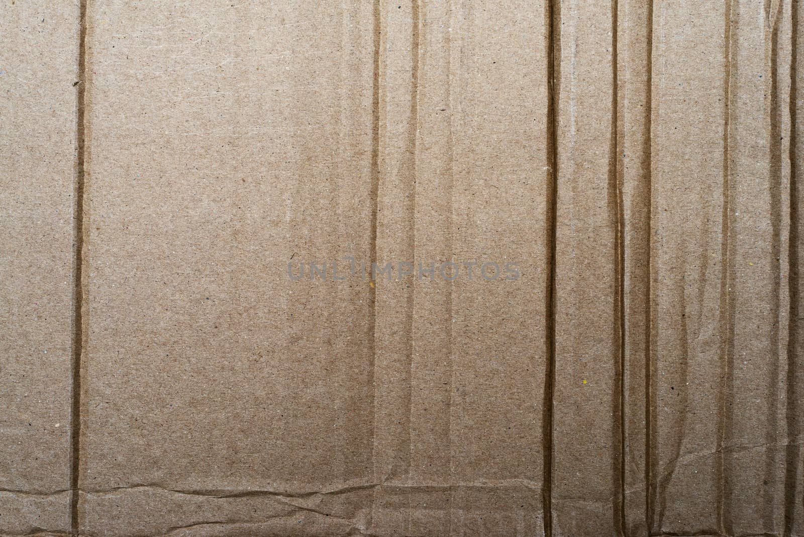 Corrugated Cardboard Texture