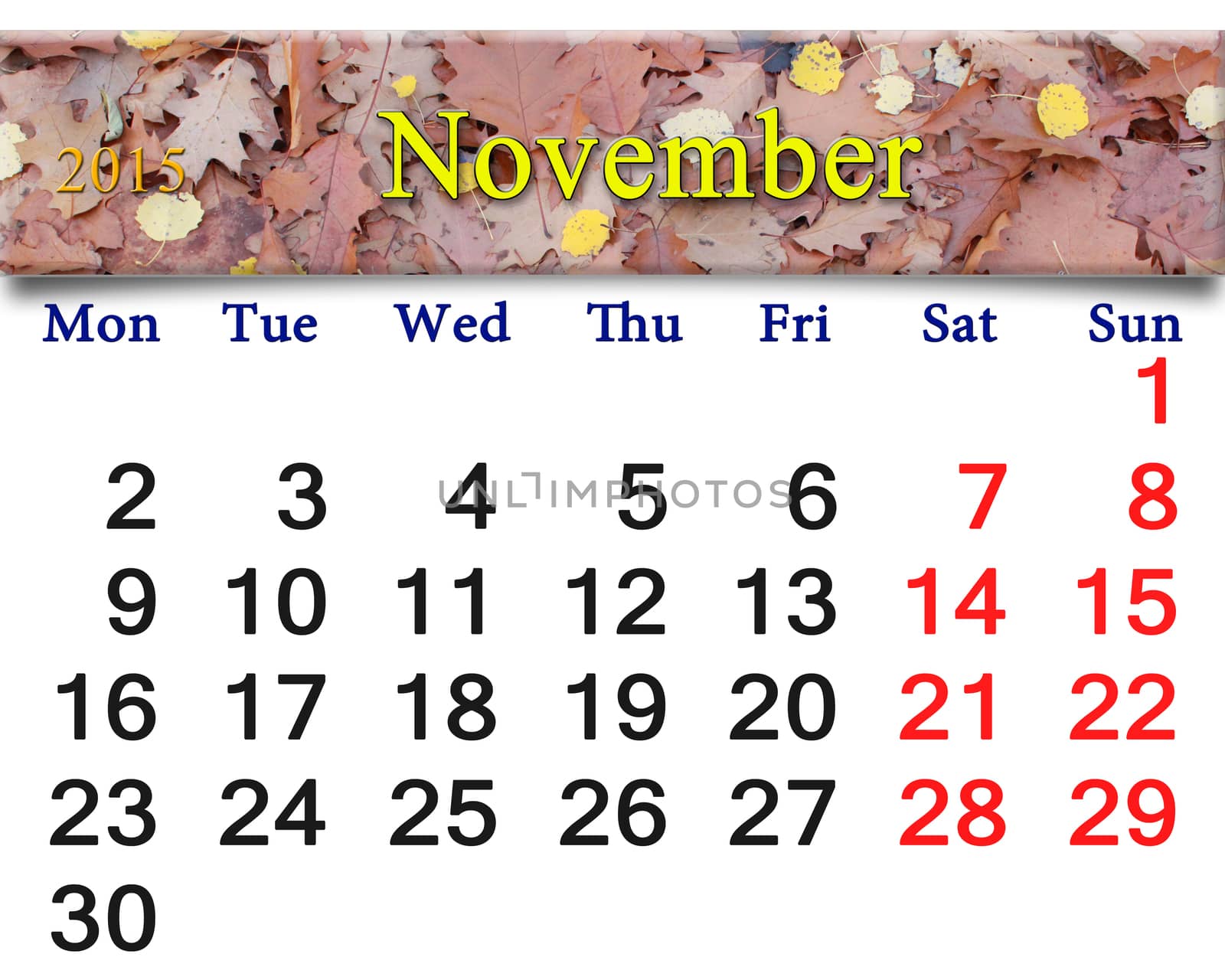 calendar for November of 2015 with the yellow leaves by alexmak