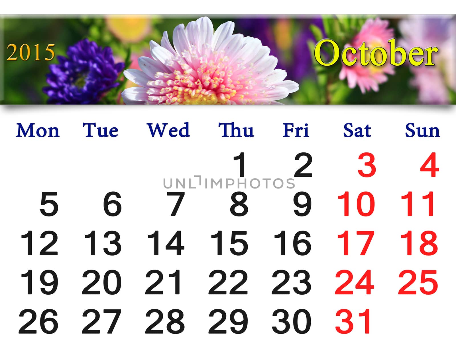 calendar for October of 2015 with the pink asters by alexmak