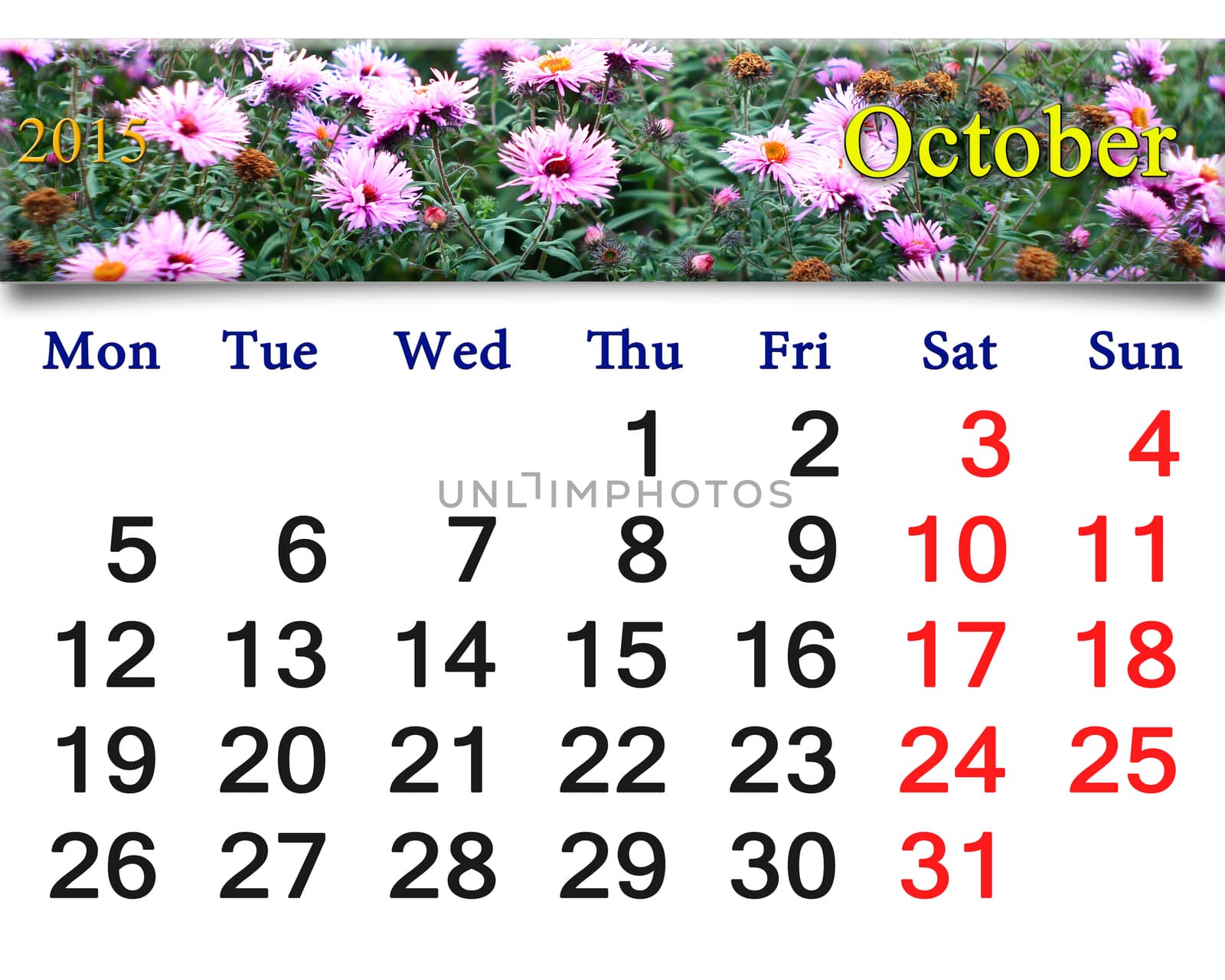 calendar for October of 2015 with the pink asters by alexmak