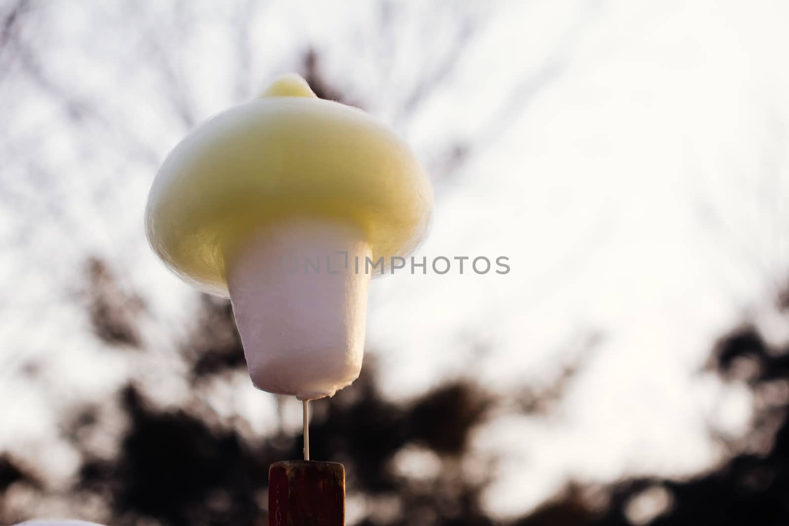 Chinese spun sugar,street food  of China