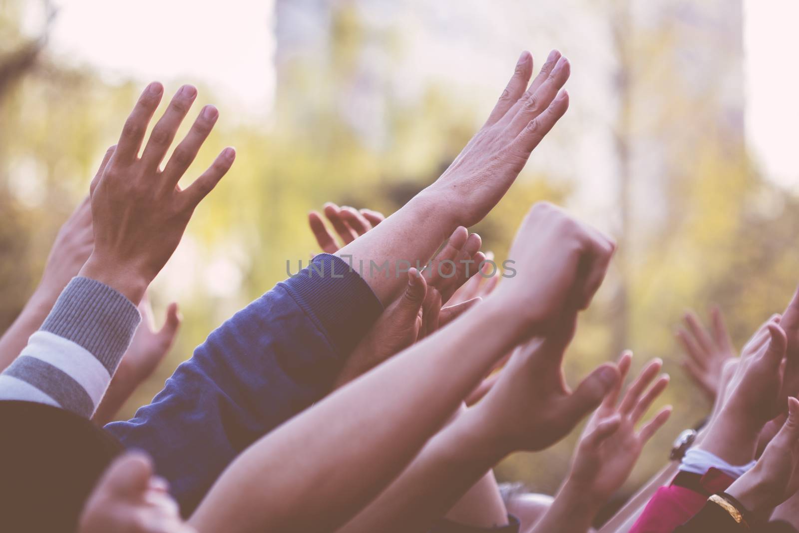 raising  hands  in a crowed of people