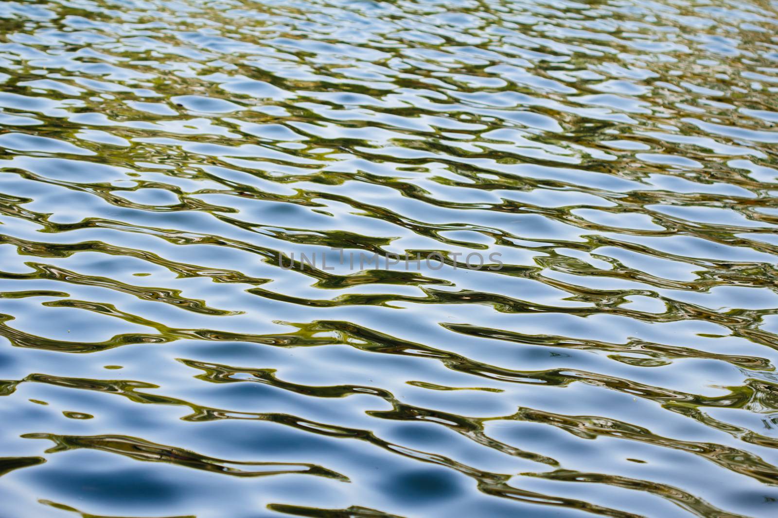 water ripples texture in spring