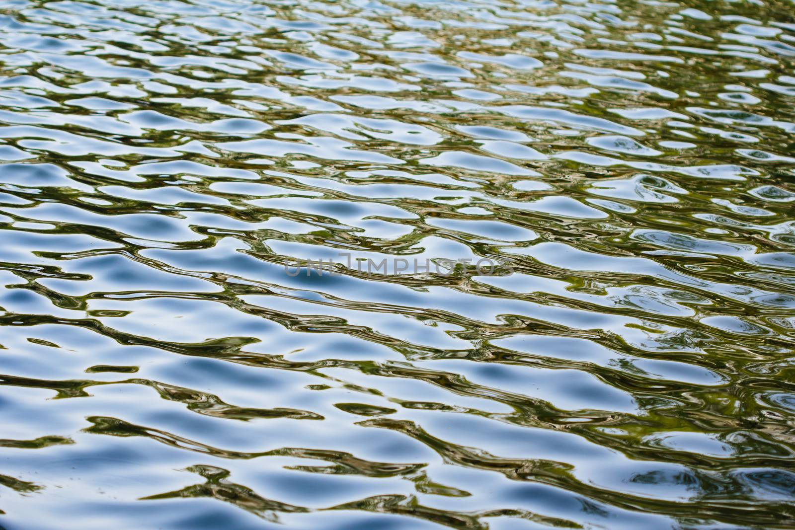 water ripples texture in spring