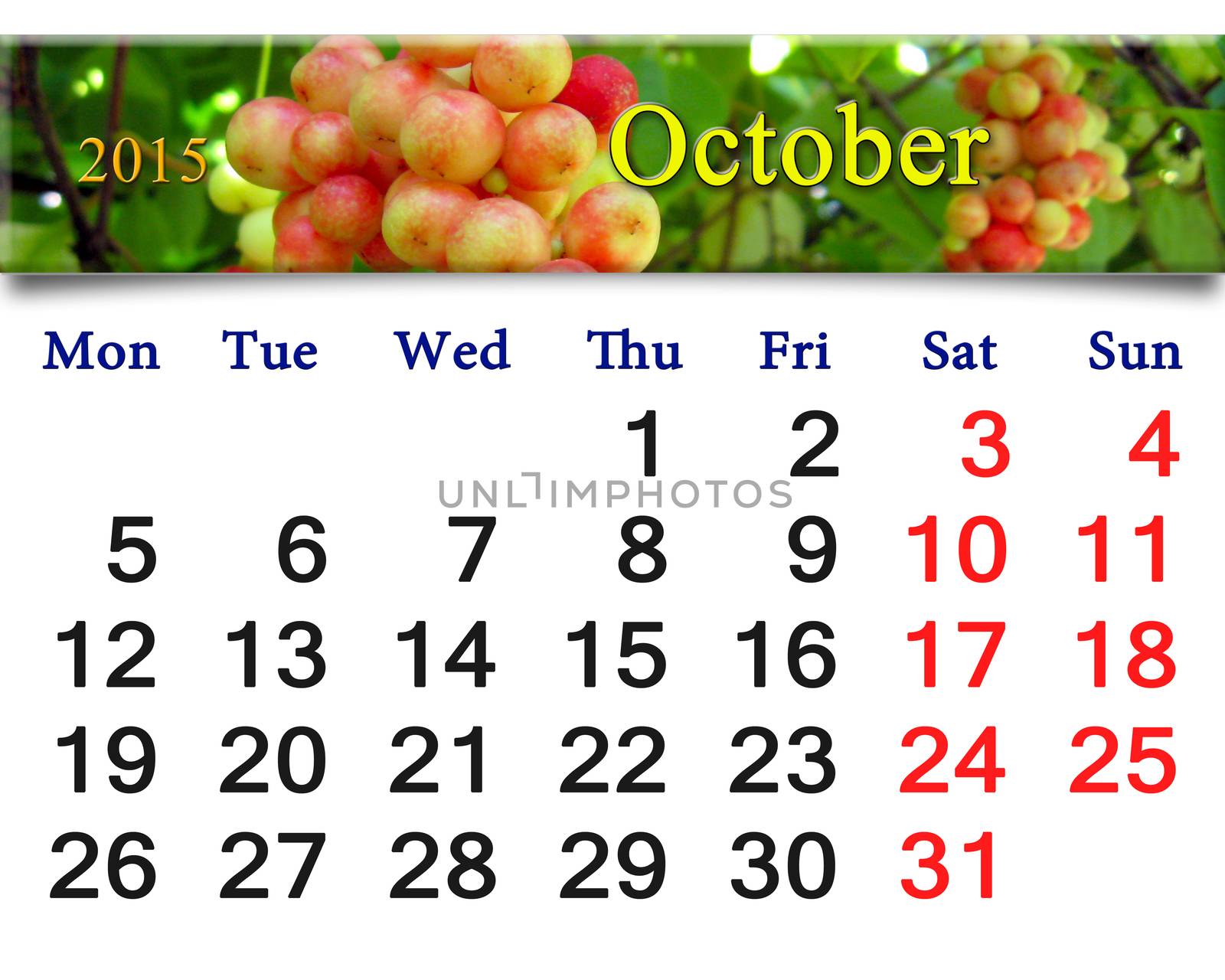 calendar for October of 2015 with branch of red ripe schisandra by alexmak