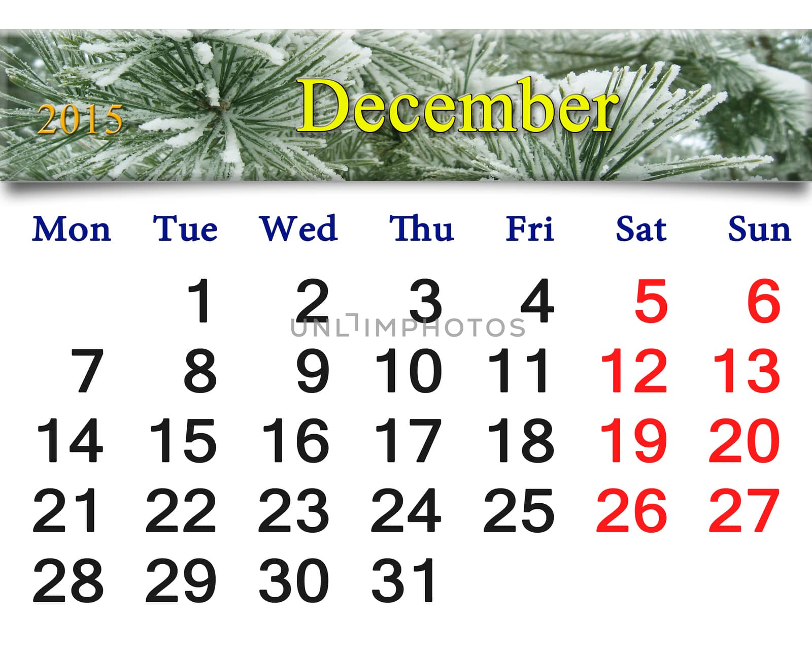 calendar for the December of 2015 with evergreen spruce by alexmak