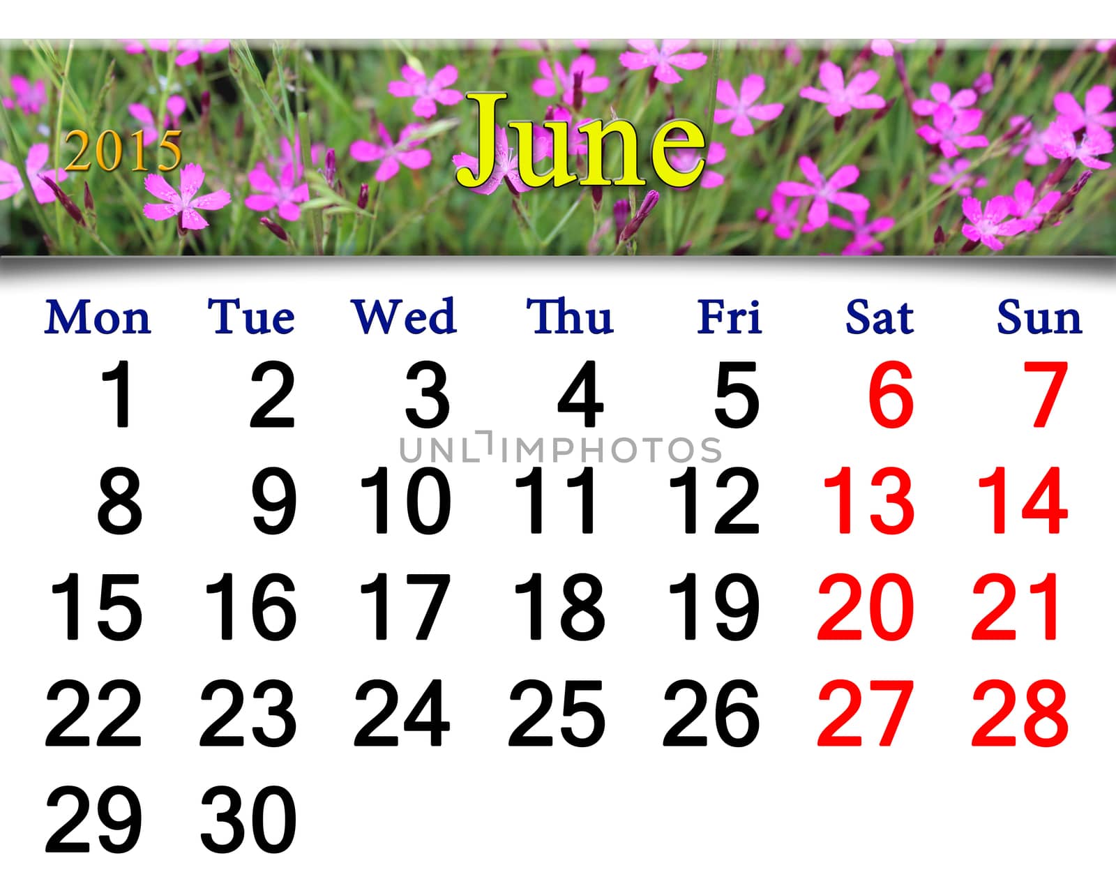calendar for July of 2015 year with ribbon of wild carnation