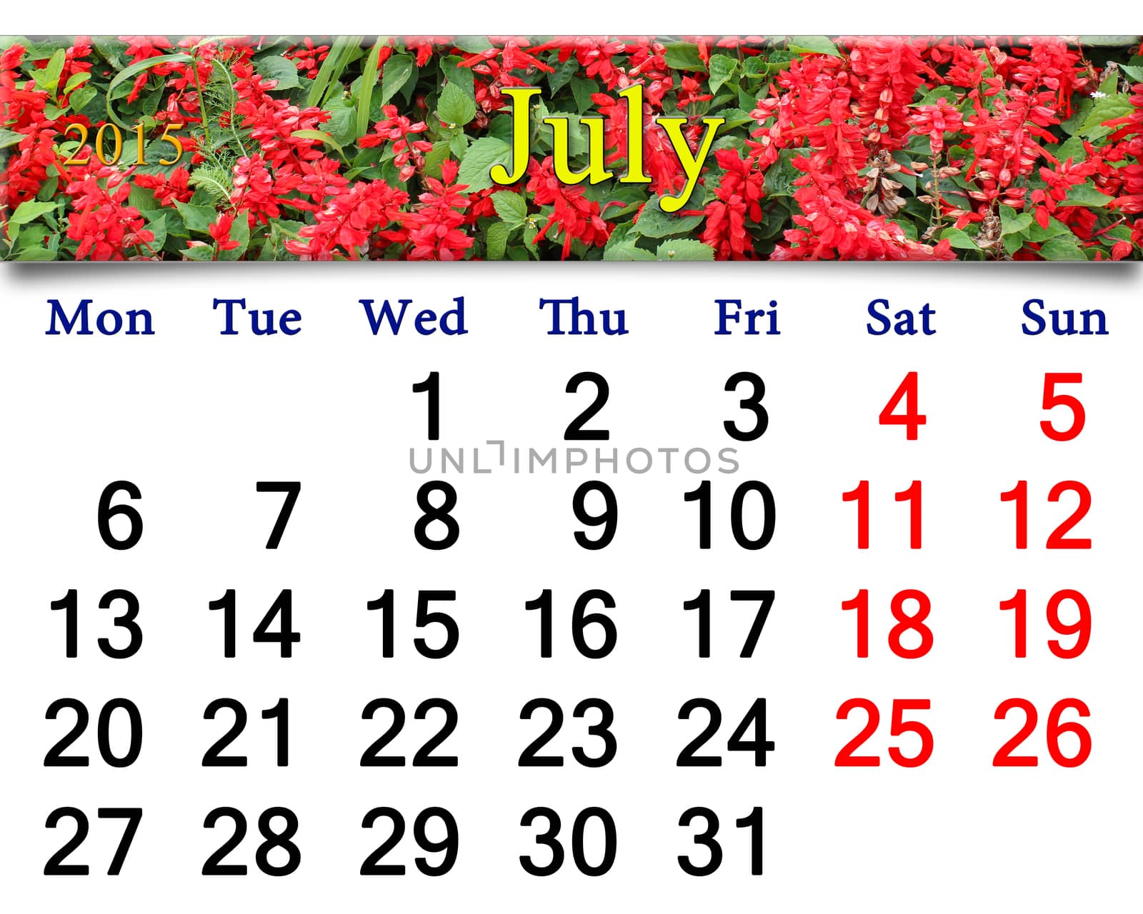 calendar for July of 2015 year with image of salvia by alexmak