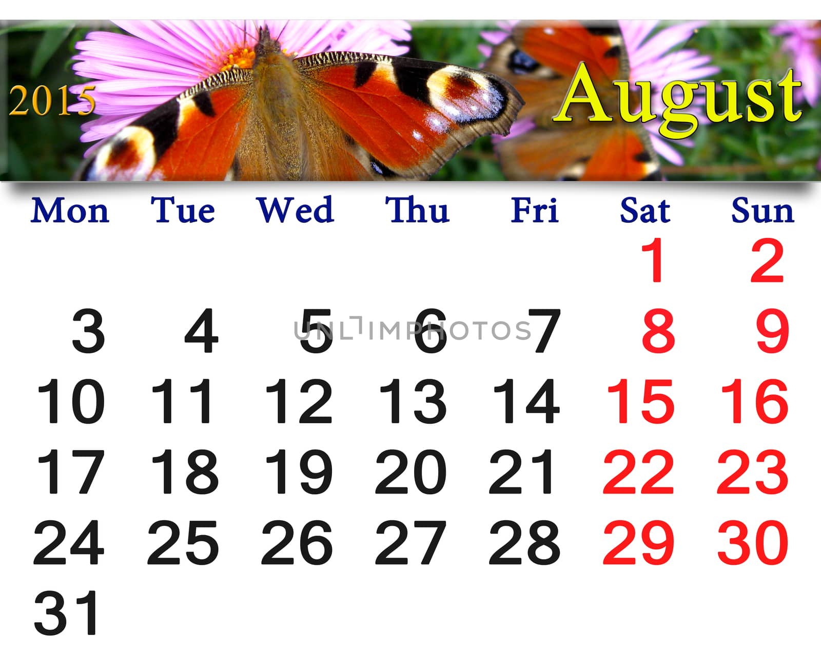 calendar for August of 2015 year with butterfly of peacock eye by alexmak