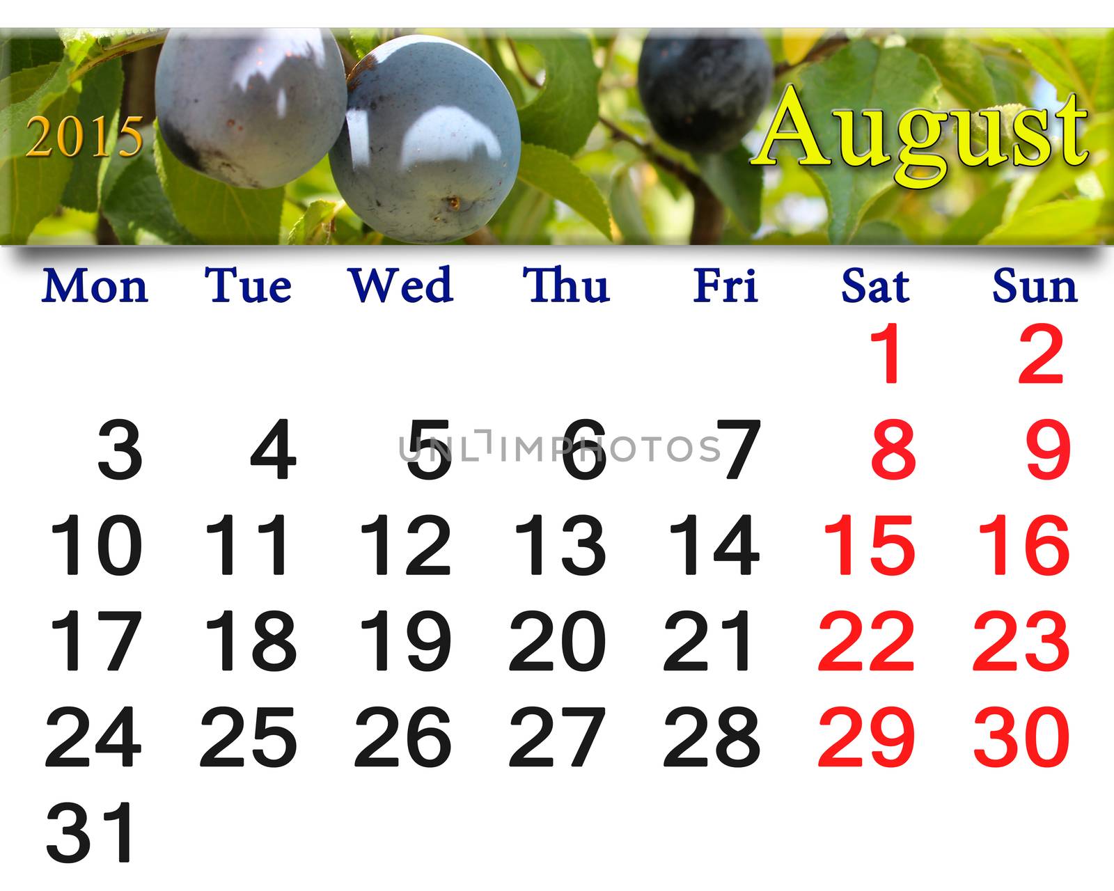 calendar for the August of 2015 year with plums by alexmak