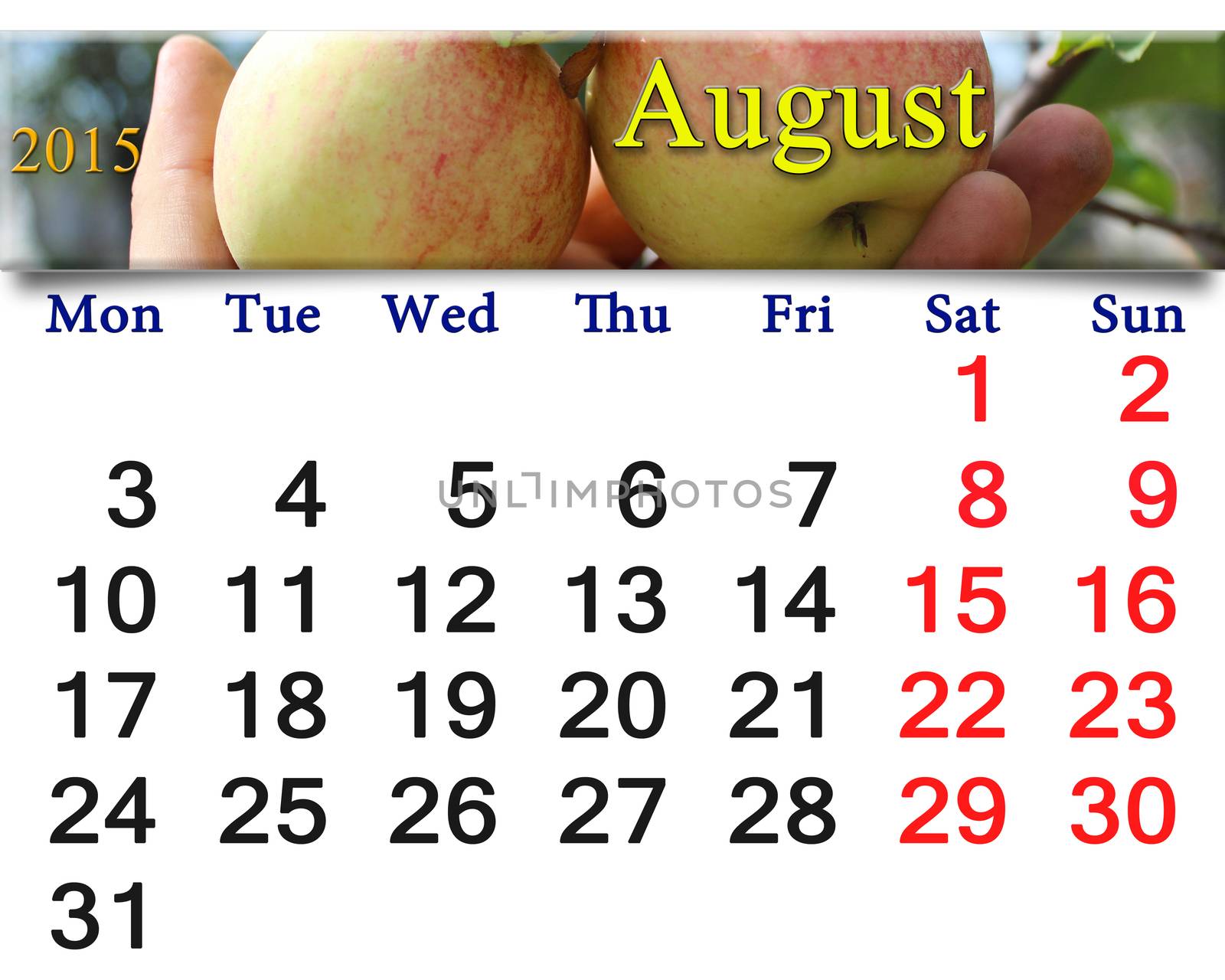 calendar for the August of 2015 year with кшзу apples by alexmak