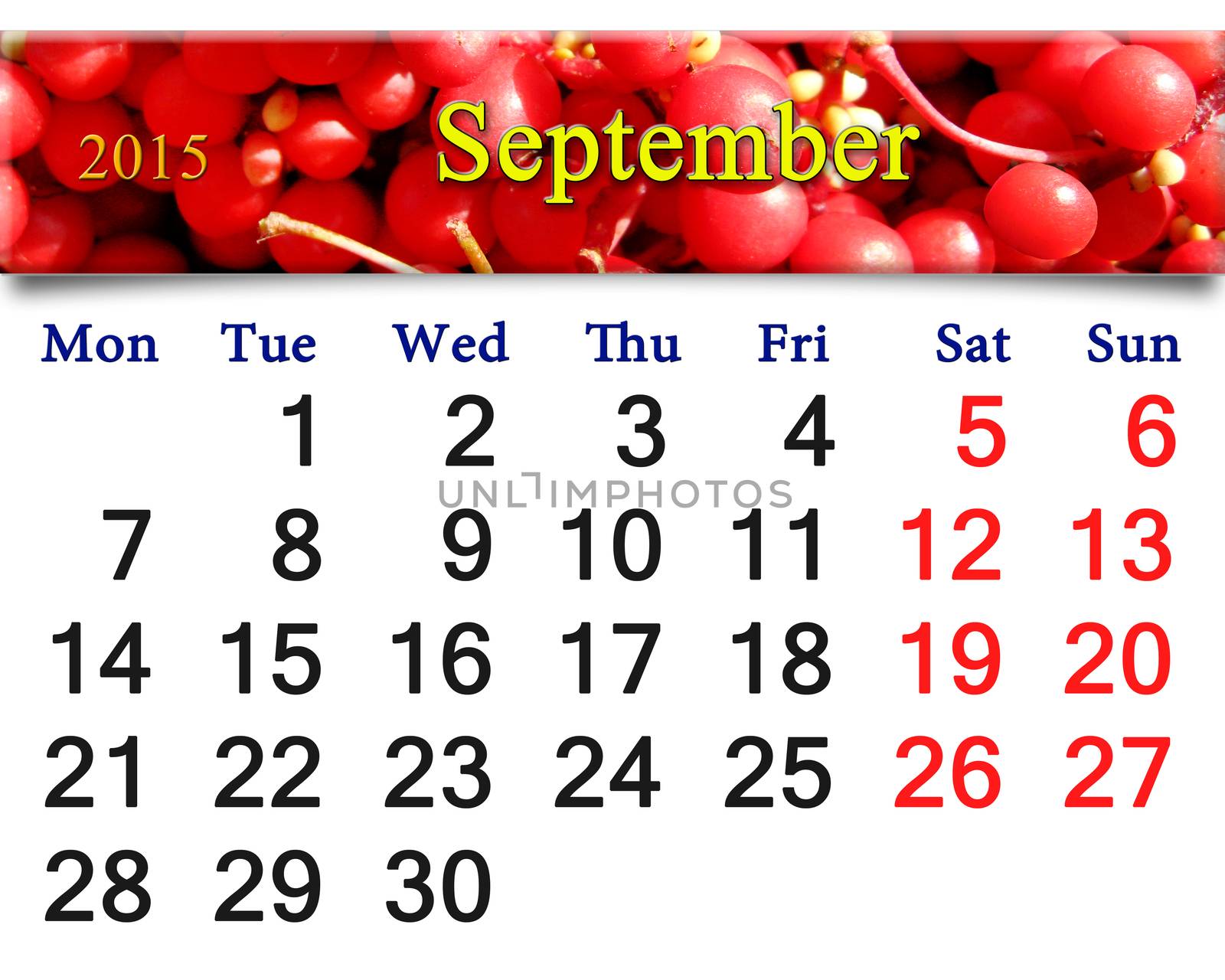 calendar for September of 2015 with red ripe schisandra by alexmak