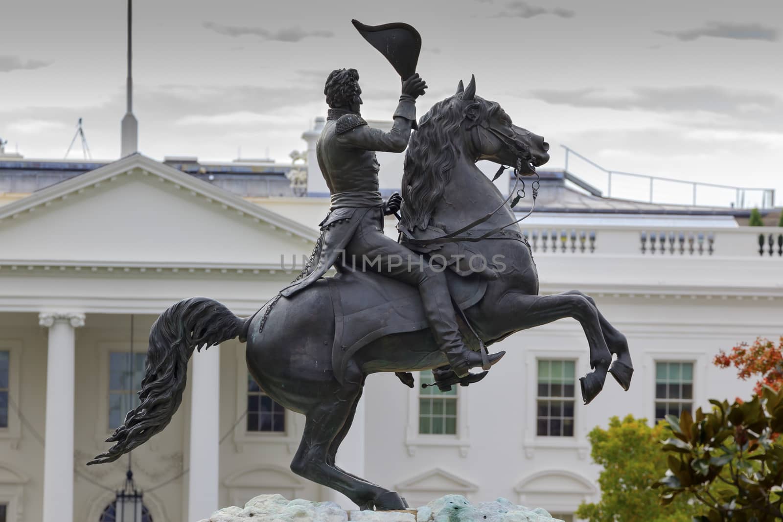 Jackson Statue Lafayette Park White House Washington DC by bill_perry