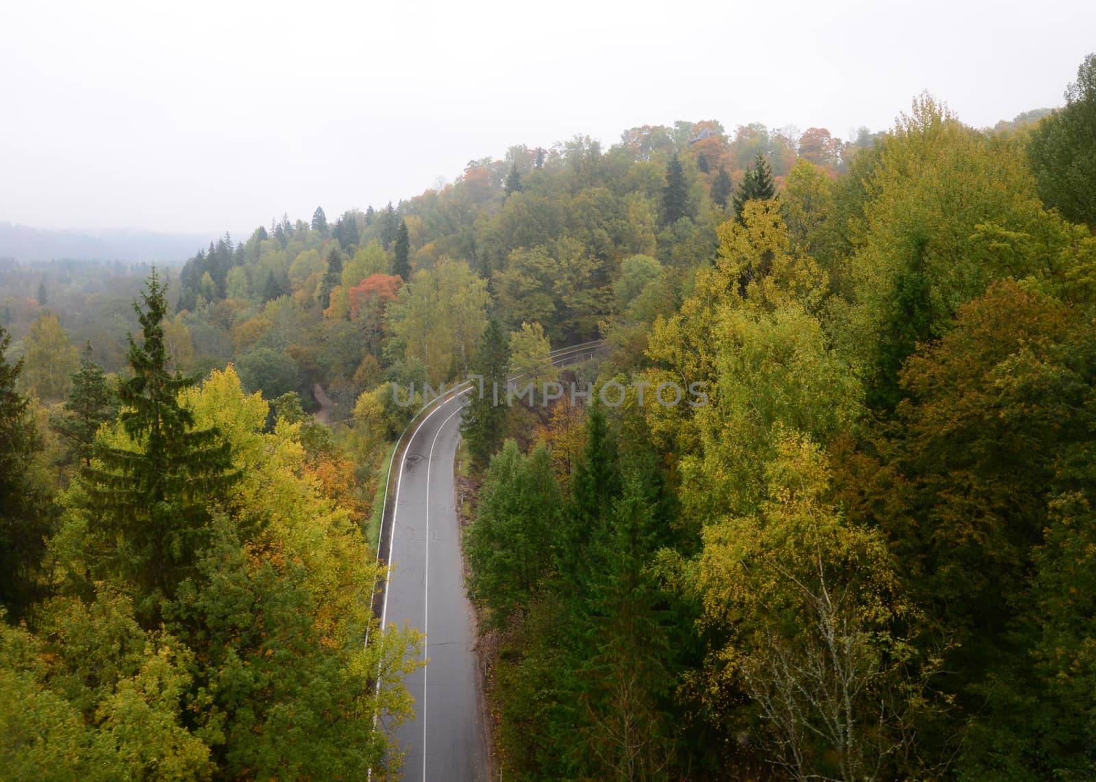 Photo of a road in the forest. View from a big height. Nature photography. Taken in Sigulda, Latvia.
