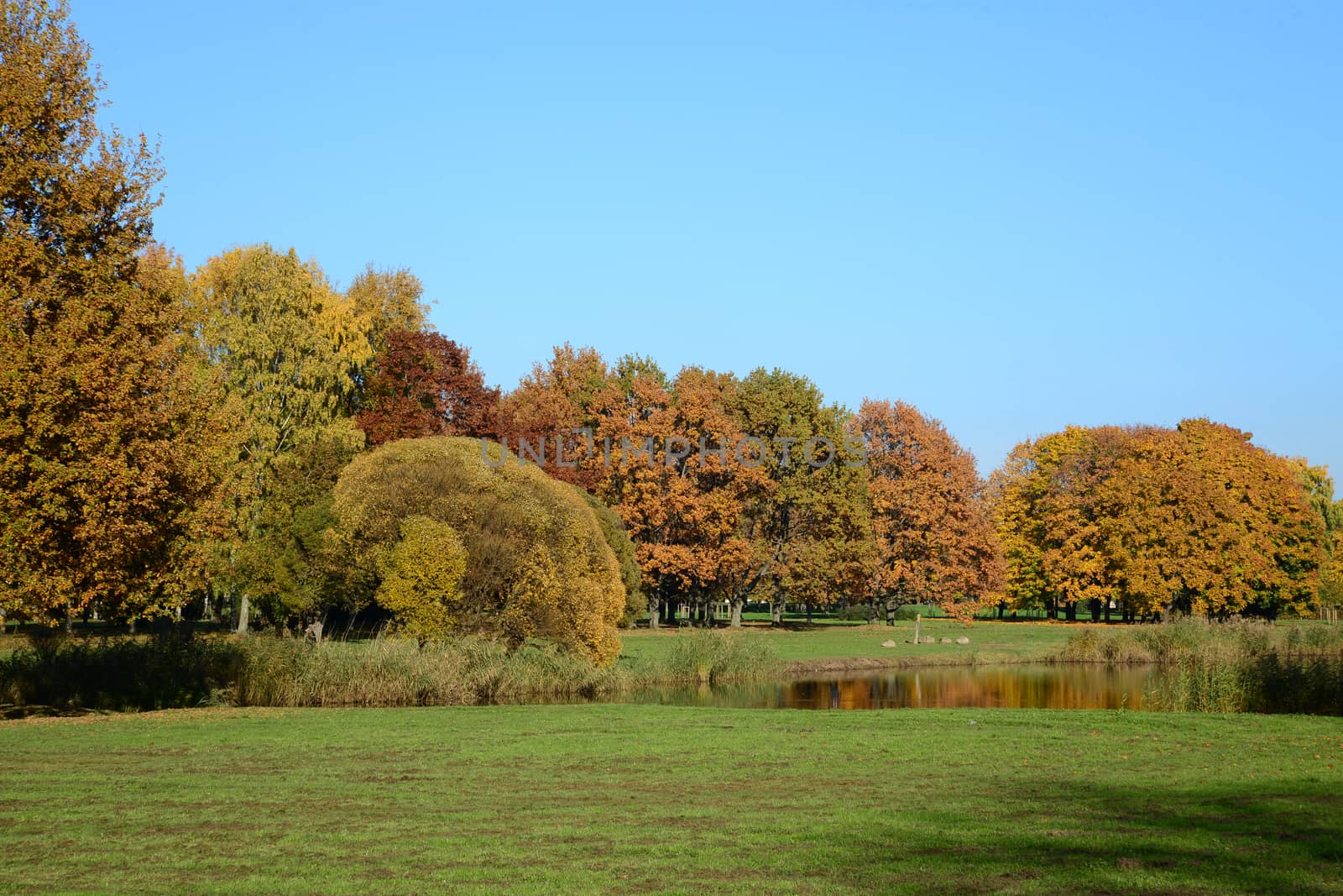 Photo of autumn landscape. Taken in Victory Park. Riga, Latvia.