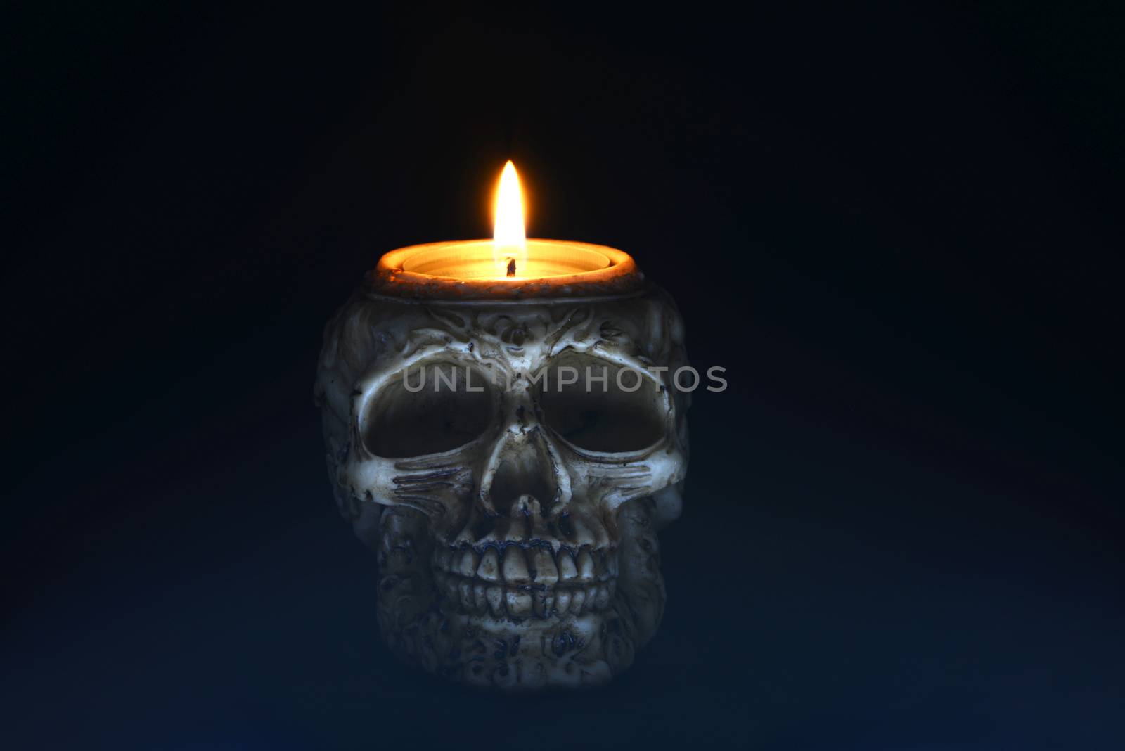 Photo of a creepy skull candle isolated on black background. Taken from the front. May be used
for halloween posters.