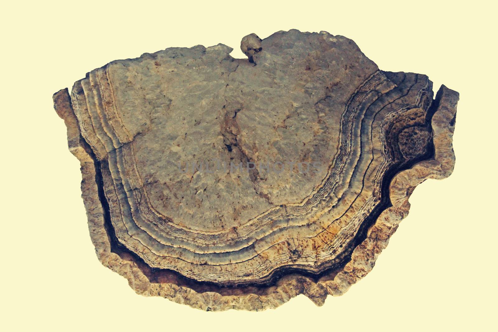 Mineral Agate Geode rock