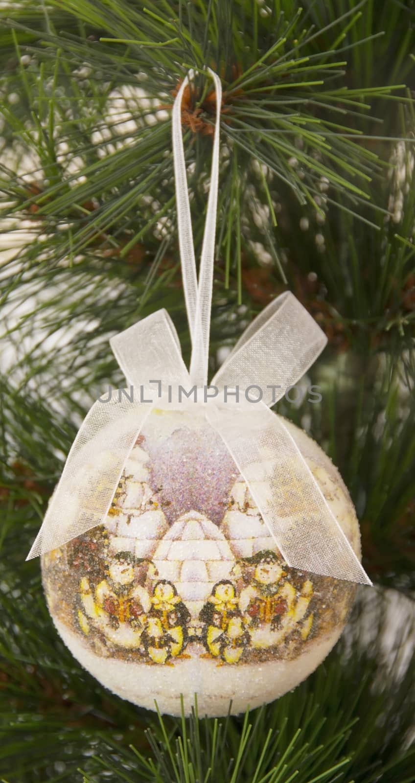 Christmas decoration on the fir tree by cocoo