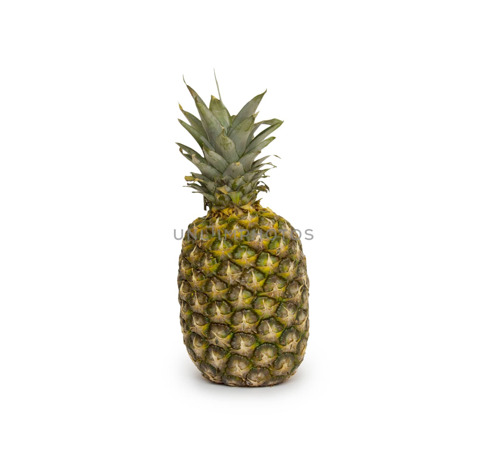 Isolated ananas. Element of design. by cocoo