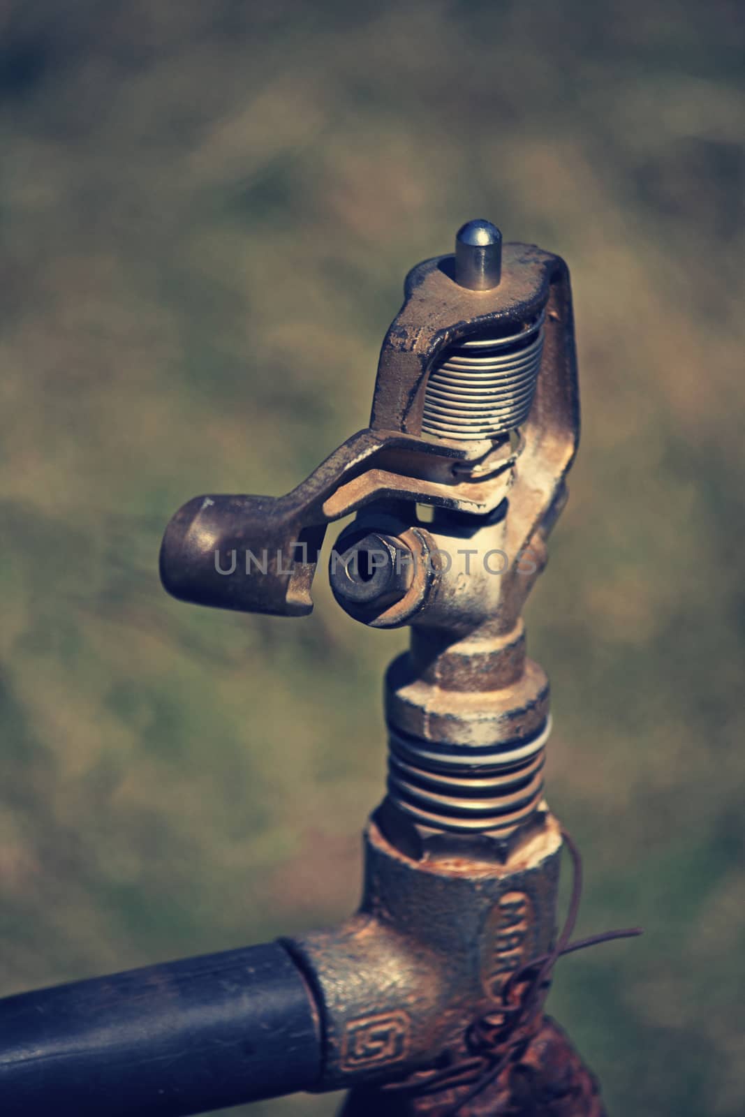 Irrigation with sprayer in a garden