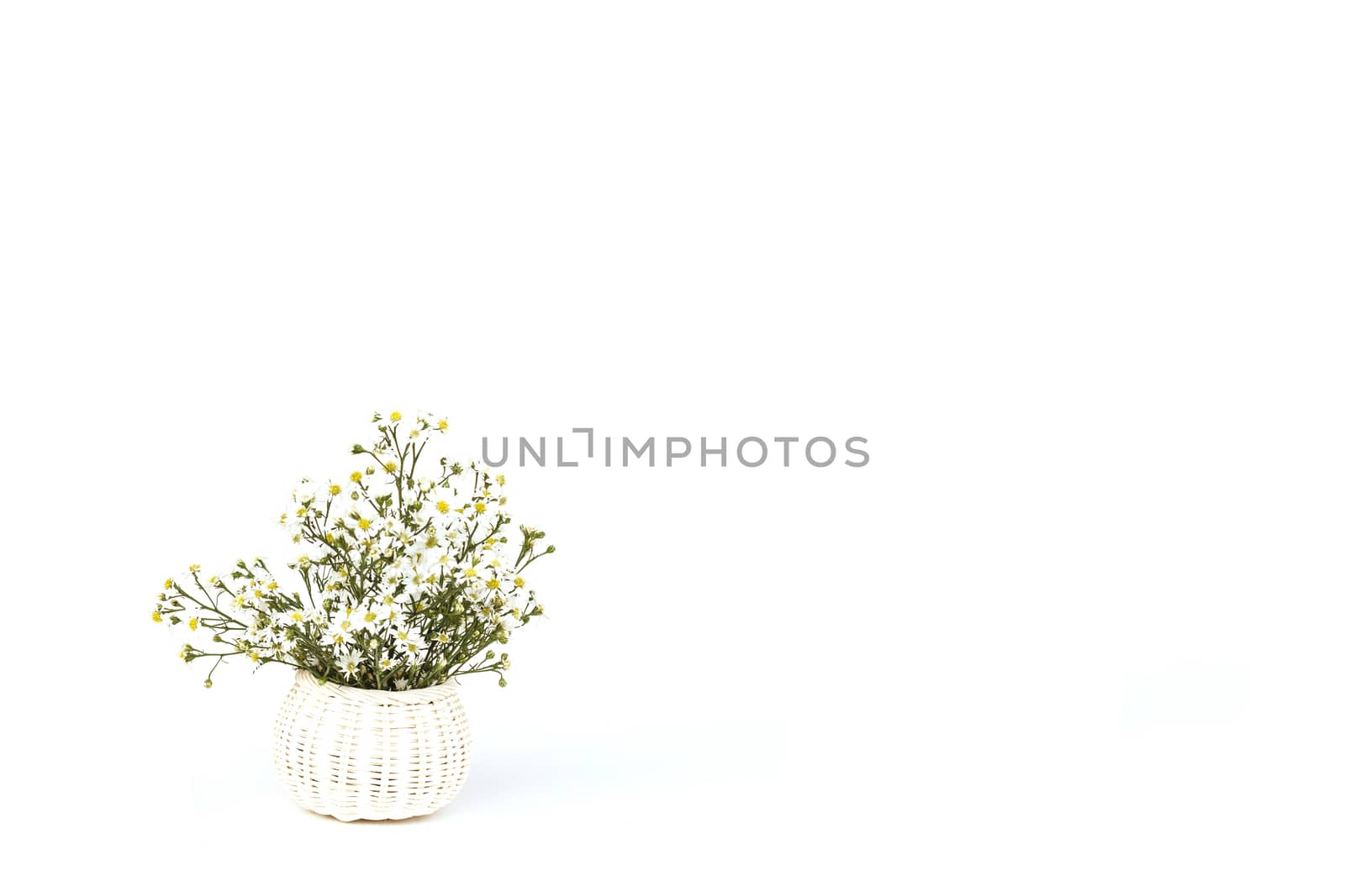 Flower in wooden handmade basket isolated on white background by nanDphanuwat