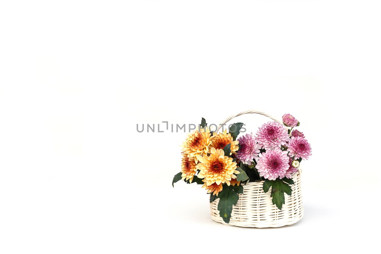 Flower in wooden handmade basket isolated on white background