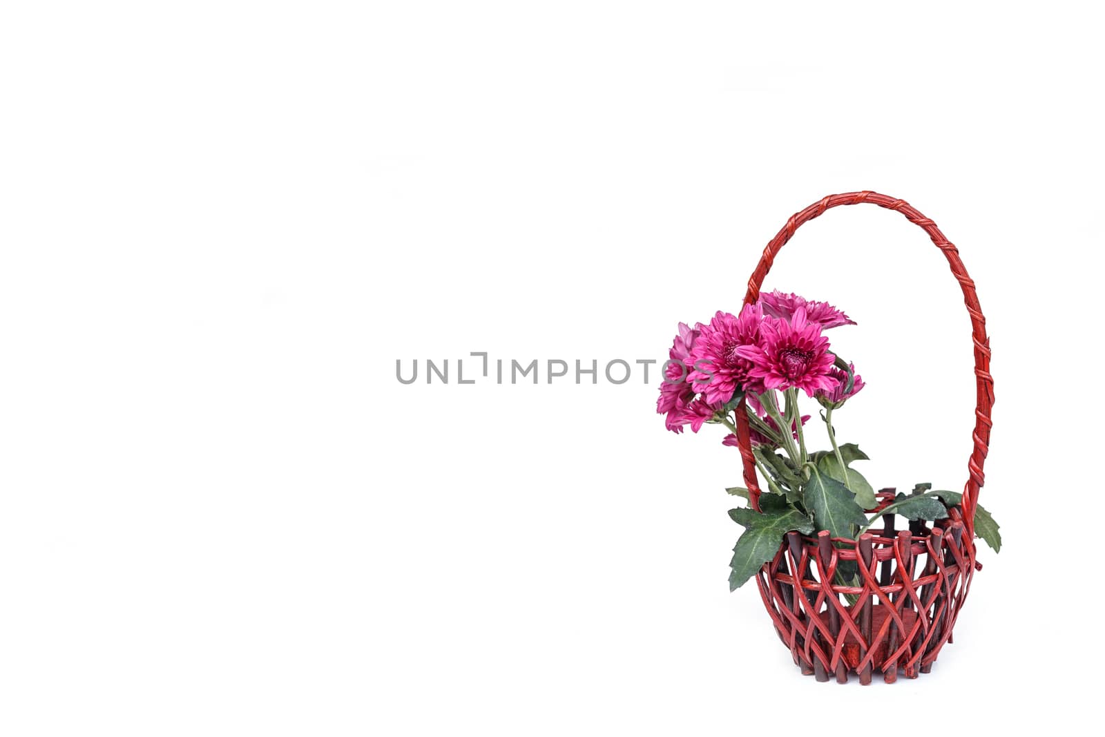 Flower in wooden handmade basket isolated on white background