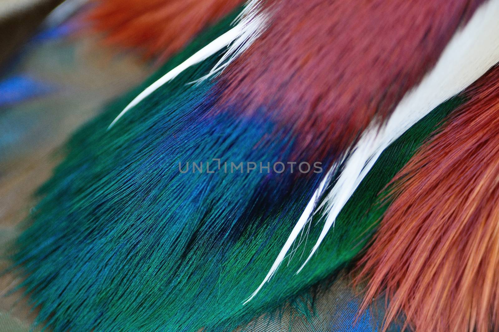 Colorful Mandarin Duck feathers, texture abstract background